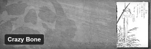 Crazy Bone (狂骨)
