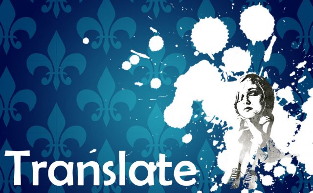 プラグイン日本語 翻訳