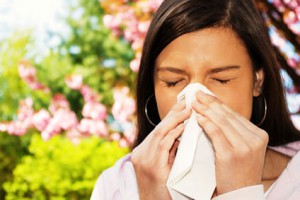 花粉症豆知識