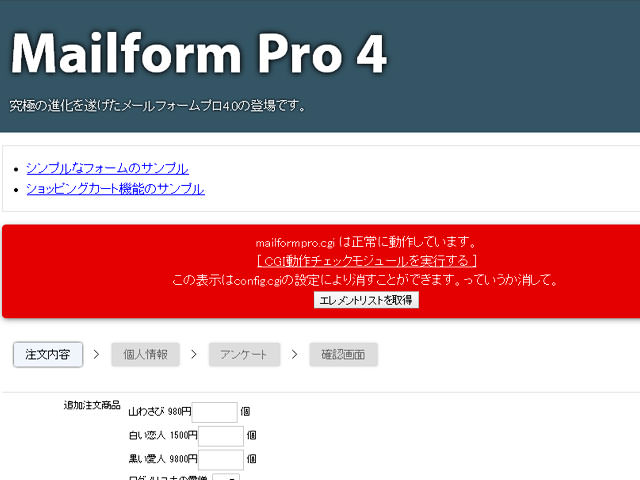 mailformpro4.1.5　成功画面