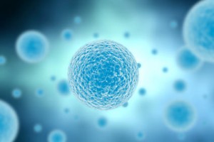 韓国　MERS感染拡大