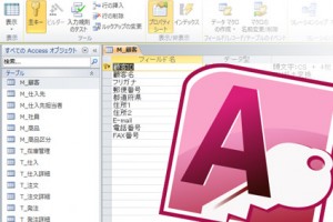 Access データ型の決定