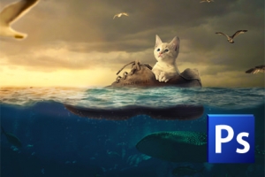 Photoshop チュートリアル / 漂流するネコ