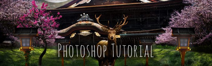 Photoshop Tutorial