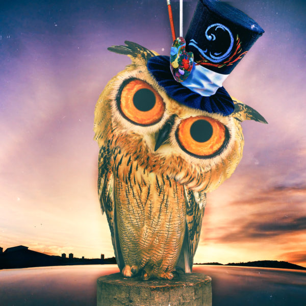 Photoshop - Owl