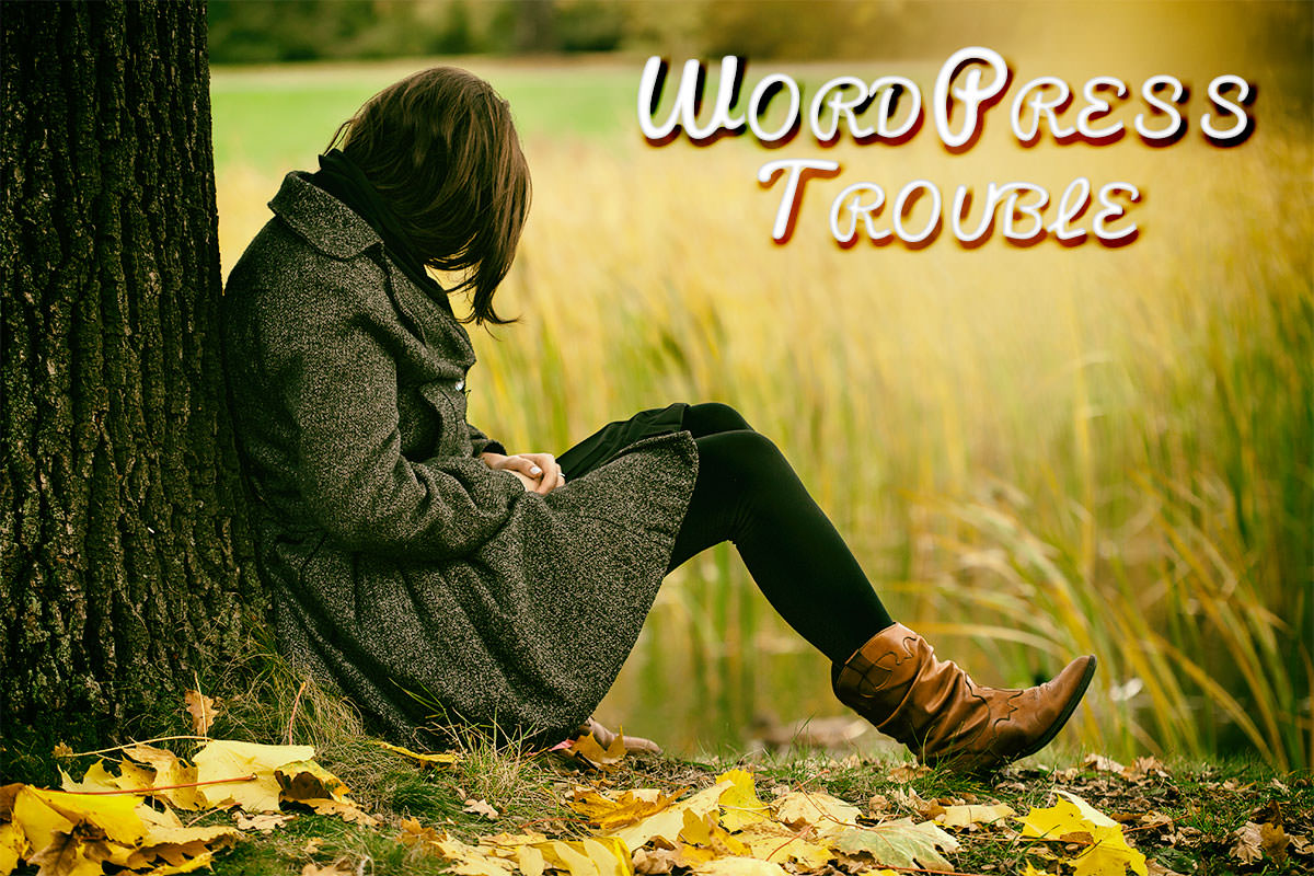 投稿記事が表示れない？原因はコレかも