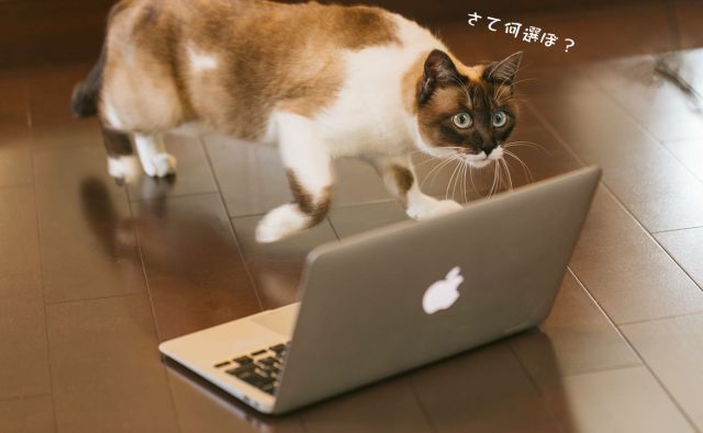 パソコンを買う時のちょっとしたコツ教えます！