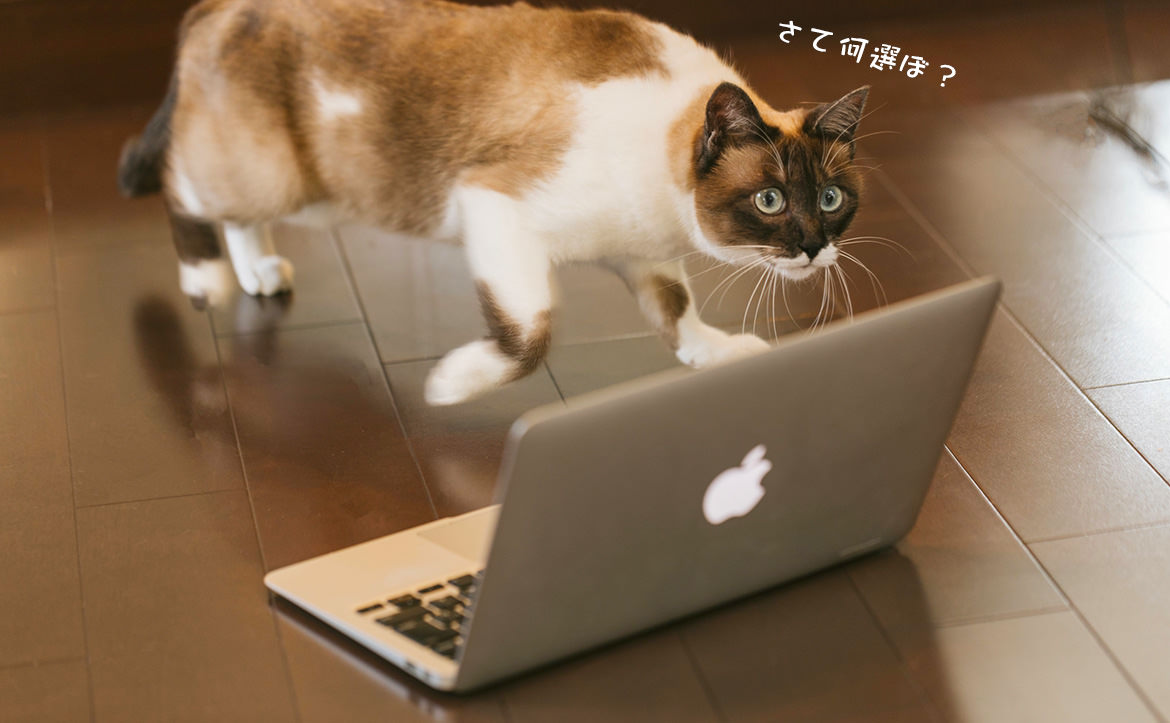 パソコンを買う時のちょっとしたコツ教えます！