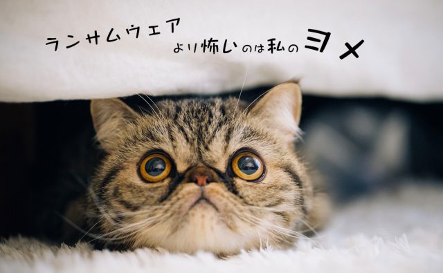 ランサムウェアの防ぎ方と復旧方法を一挙公開！