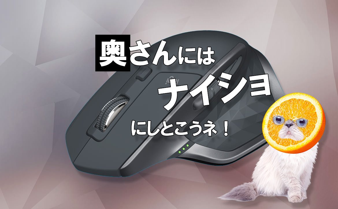 ロジクール MX2100sGR MX Master 2S を徹底検証！