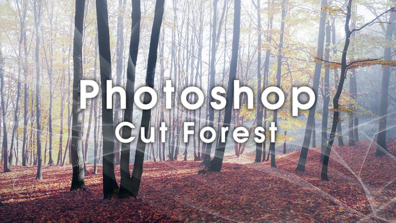 Photoshopで森林や樹木を簡単に上手く切り取るテクニック