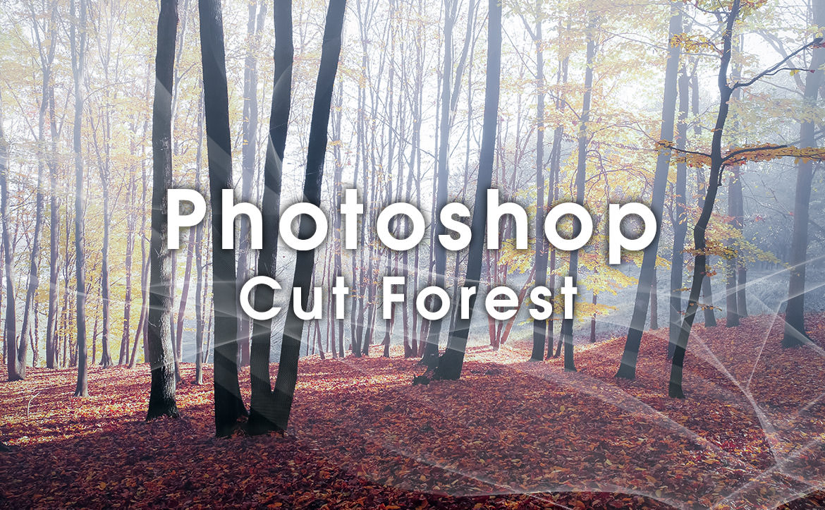 Photoshopで森林や樹木を簡単に上手く切り取るテクニック