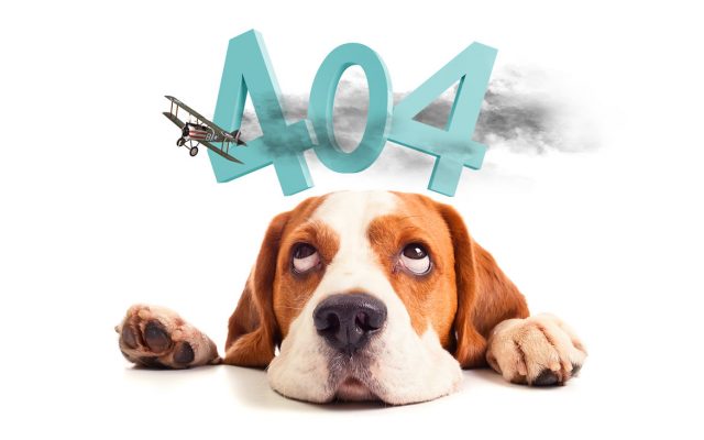 たれ犬404