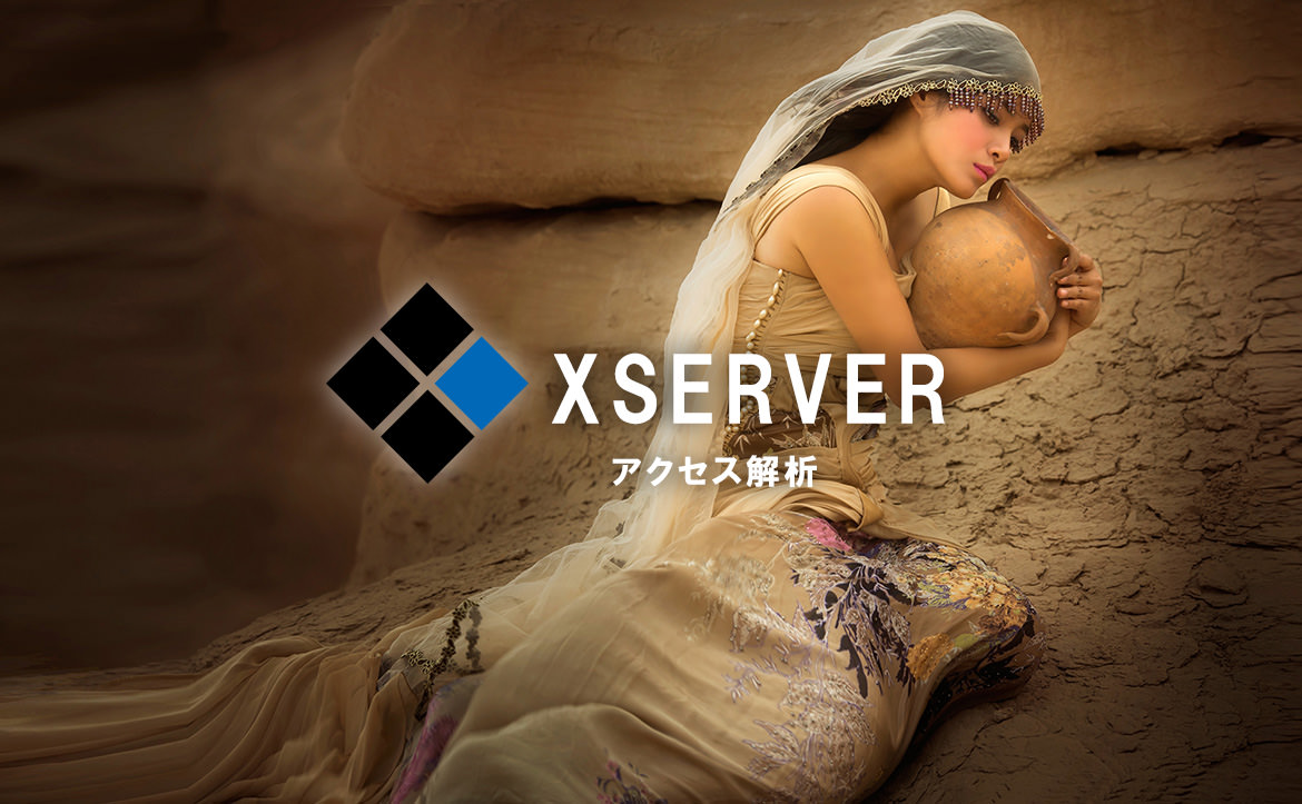 エックスサーバーのアクセス解析を徹底分析！ 解析で役立つポイント