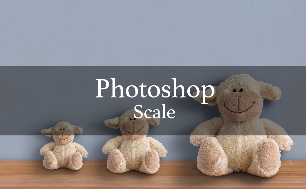 Photoshop ５分で出来る 拡大・縮小のテクニック