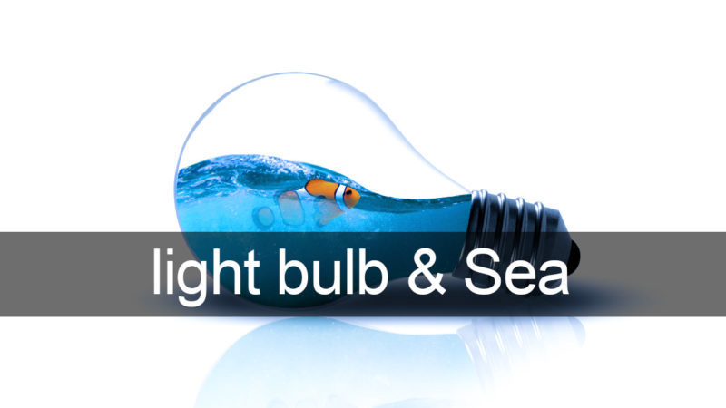Photoshop light bulb and Sea / 電球と海