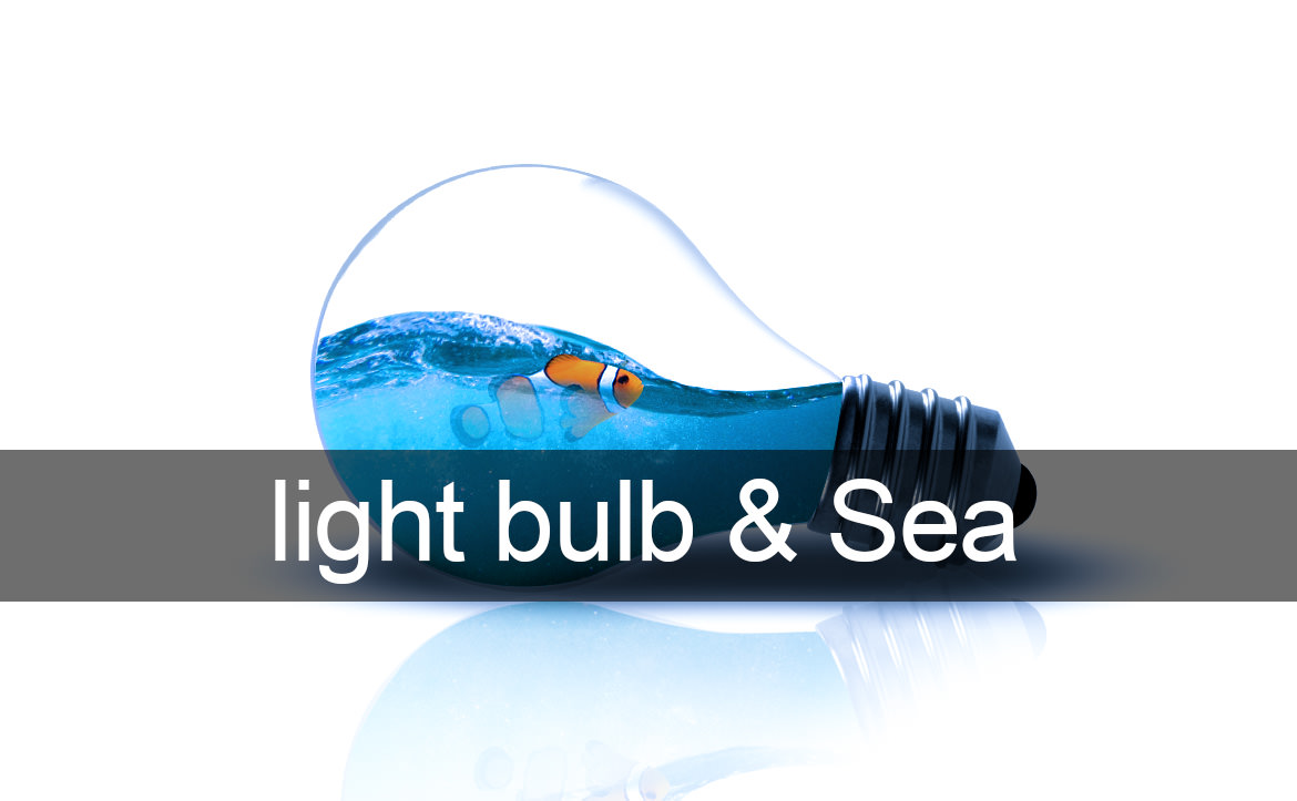 Photoshop light bulb and Sea / 電球と海